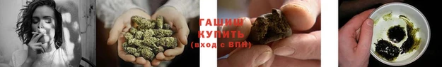 каннабис Алексин