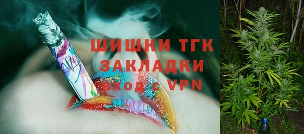 прущие грибы Дубовка