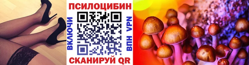 купить наркоту  МЕГА как зайти  Галлюциногенные грибы Psilocybe  Задонск 